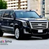 Cadillac - Escalade ESV Platinum-2020