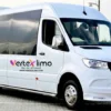 Mercedes Benz - Sprinter - 12 Pax-2024