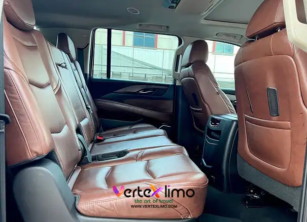 Cadillac - Escalade ESV Platinum-2020