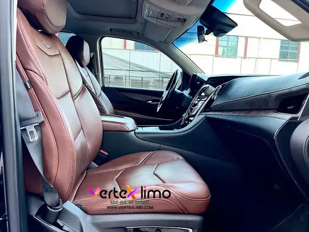 Cadillac - Escalade ESV Platinum-2020