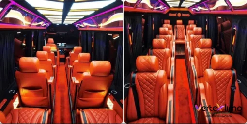 Mercedes Benz - Sprinter - 12 Pax-2024