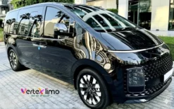 Hyundai - Staria- (7 Pax) 2026